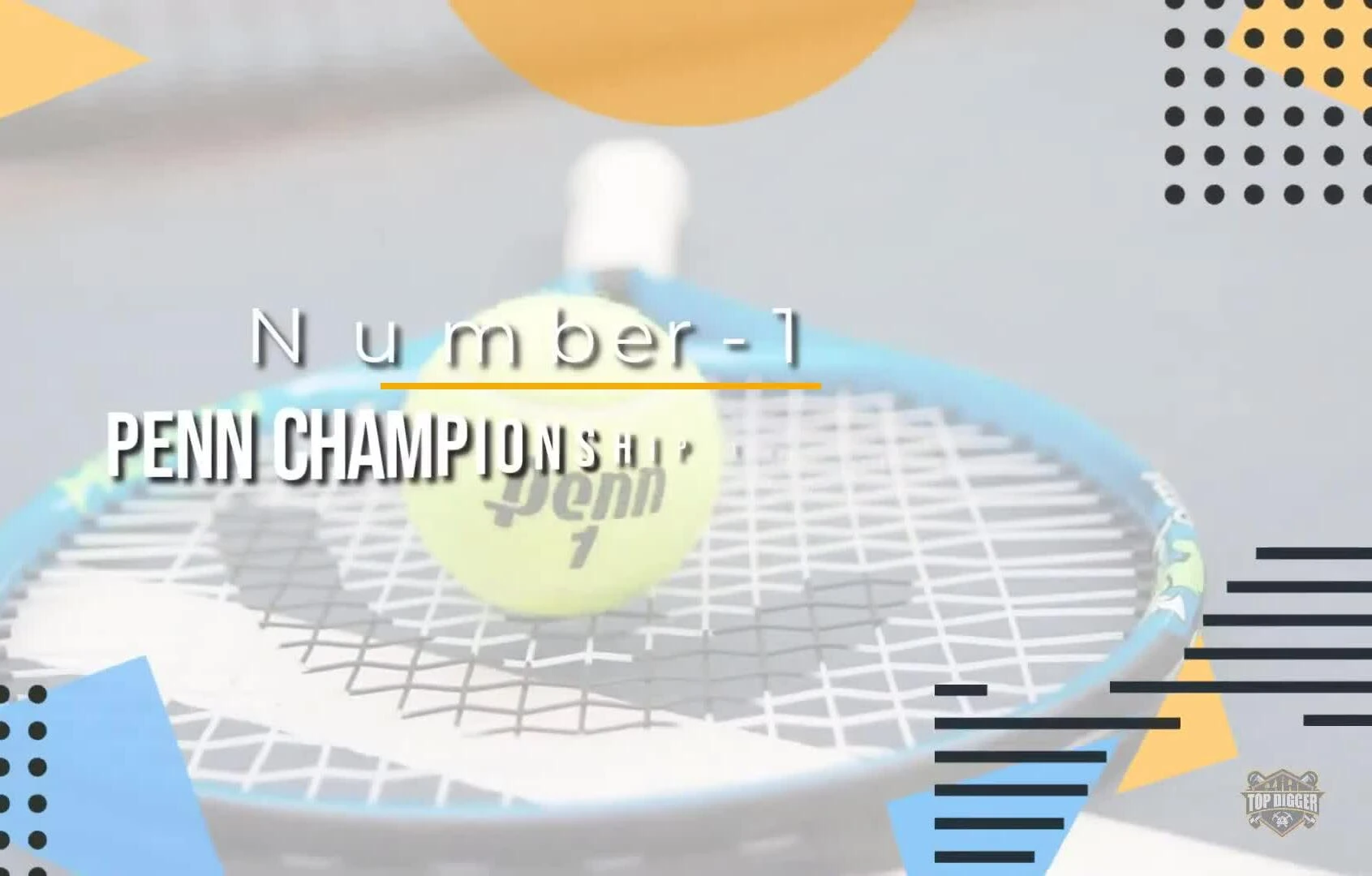 Penn Championship Tennis Balls packaging