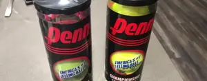 Penn Championship Tennis Balls Review: Are They Worth It?