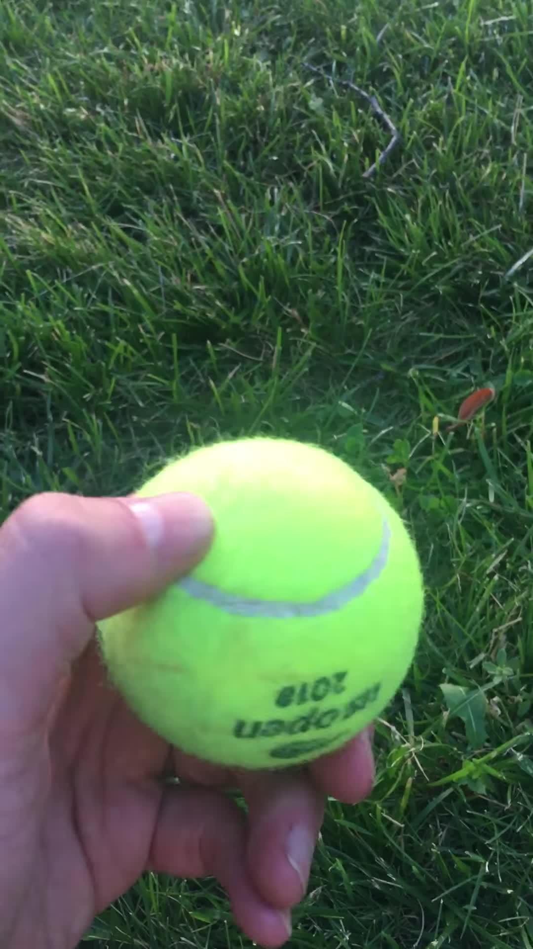 A rally in progress showcasing the ball’s responsiveness and consistent flight.