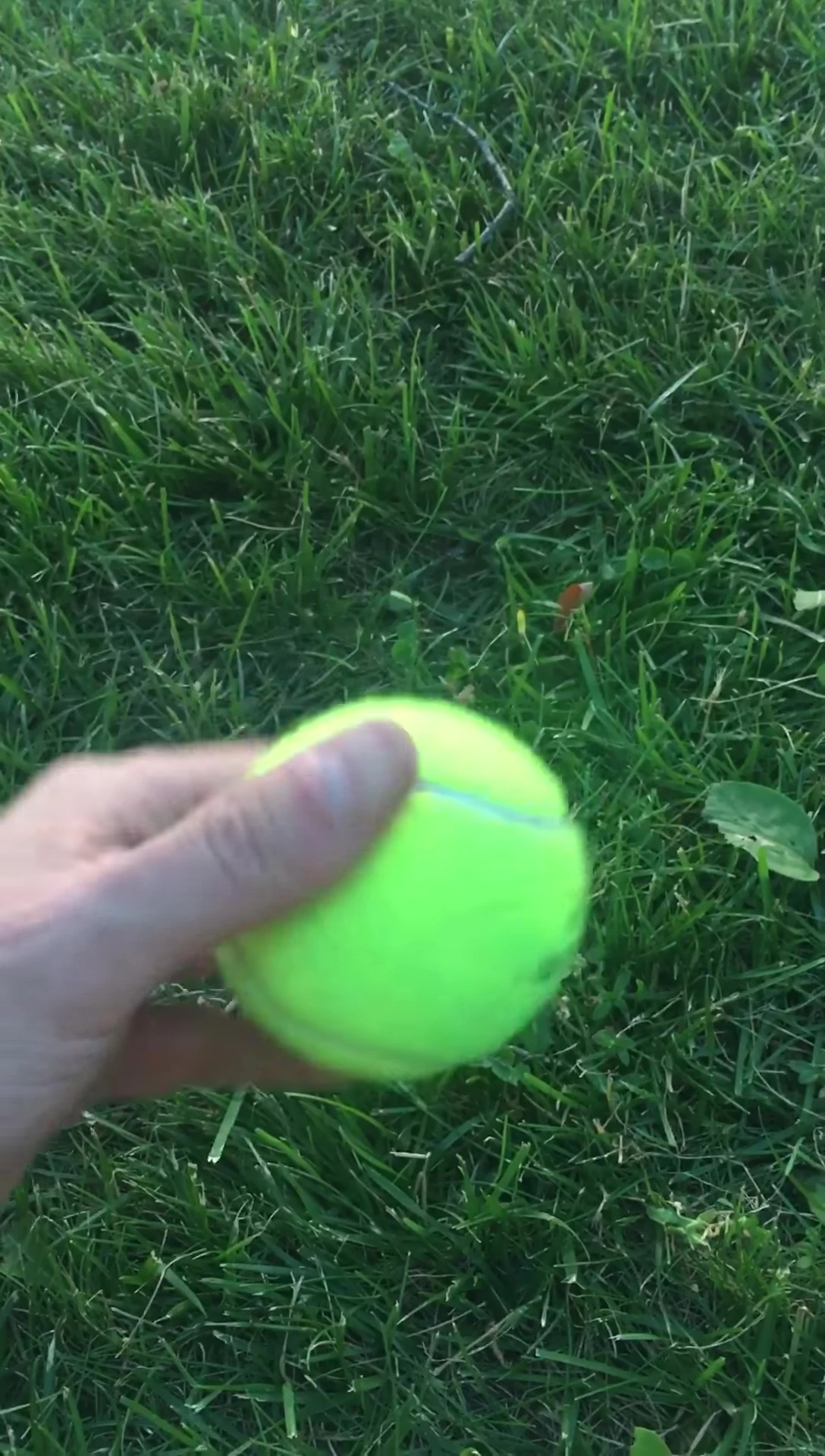 A summarizing shot, possibly a close-up of the ball or showcasing its performance in a key moment.