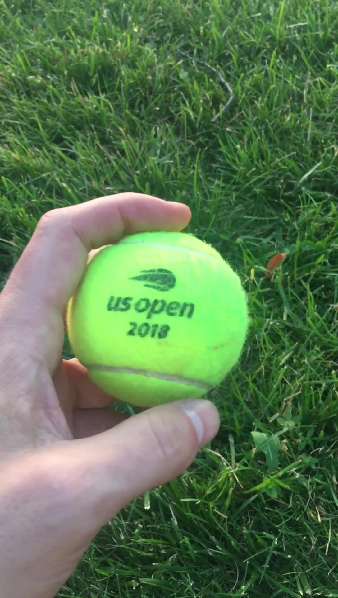 A comparison shot showing the Slazenger Wimbledon ball alongside another brand of tennis ball.