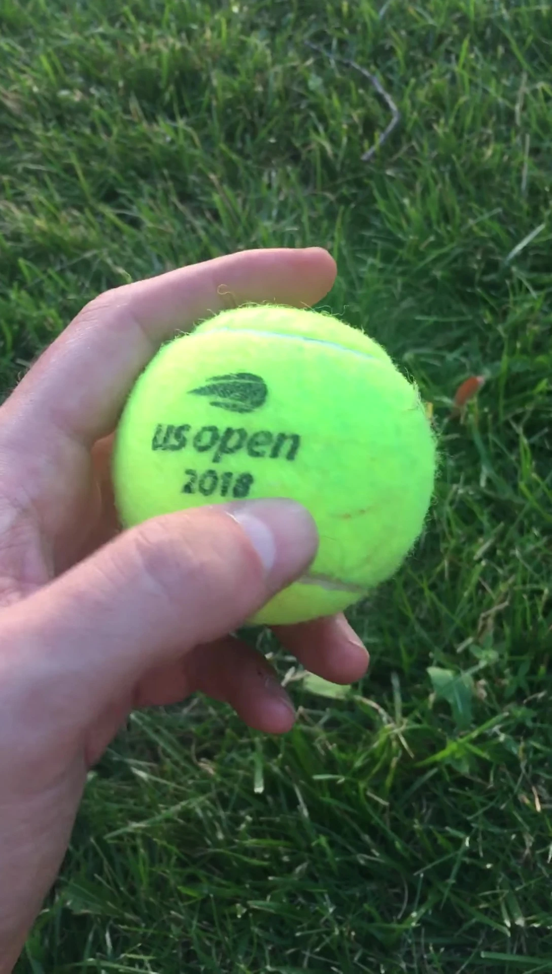 Players using various brands of tennis balls during play.