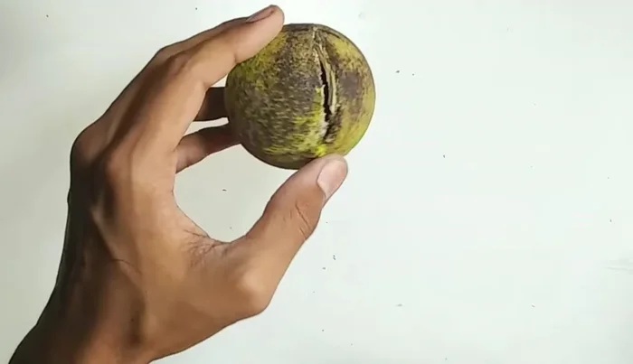 Press the edges together firmly with both hands, applying pressure for 30-60 seconds.