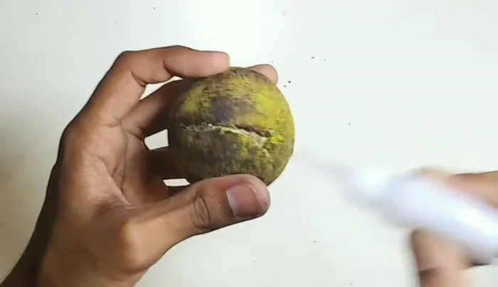 Apply a small amount of grease to the repaired area for added strength.